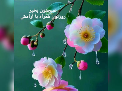 فال ابجد 13 دی + فیلم