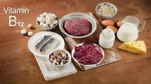 ویتامین B12 چیست و عوارض کمبود آن چیست؟ همه چیز درباره این ویتامین حیاتی