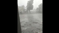 فیلم باورنکردنی از طوفان هولناک در جاسک / همه چیز روی هوا می چرخید