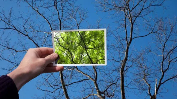 مردان تصویر ذهنی خوبی از بدن خود ندارند / افراد خوشبین بیشتر عمر می کنند 