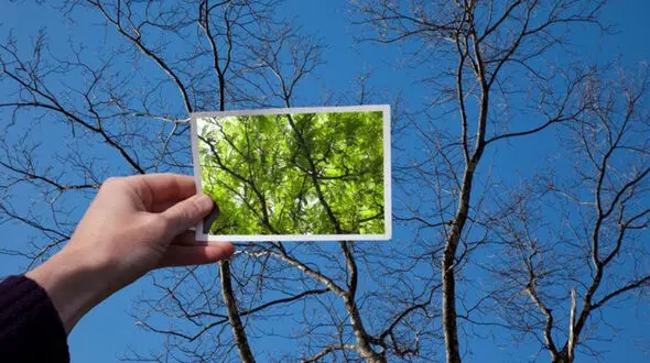 مردان تصویر ذهنی خوبی از بدن خود ندارند / افراد خوشبین بیشتر عمر می کنند 