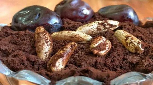 هسته خرما دوست دیابتی ها