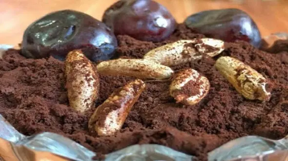 هسته خرما دوست دیابتی ها