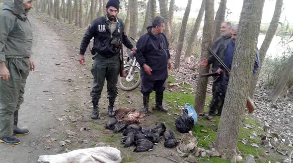 کشف 25 قبضه سلاح شکاری+ عکس