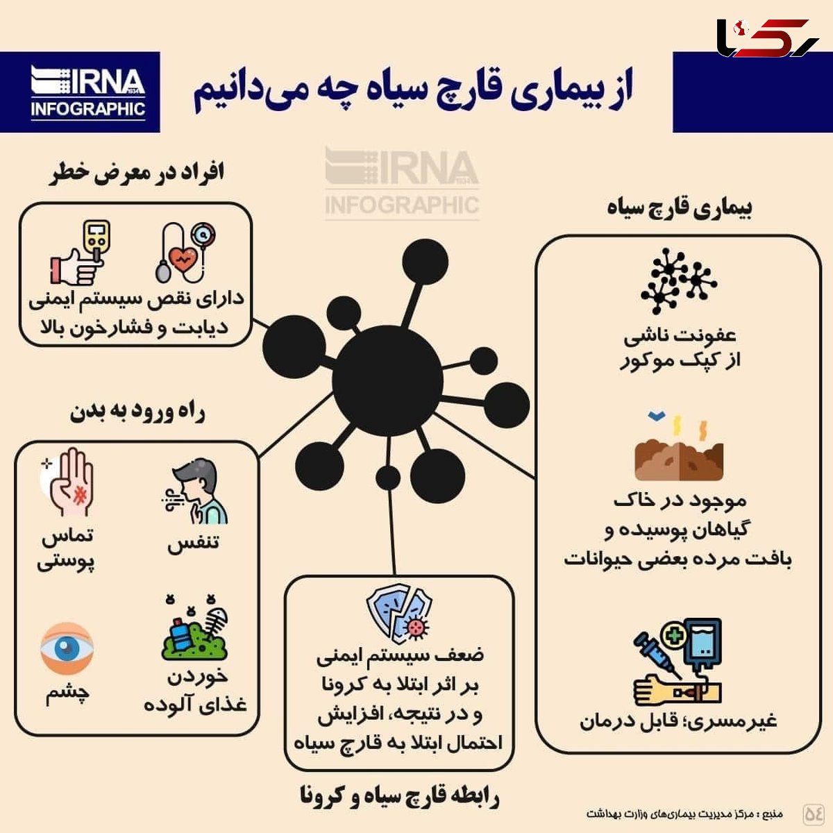 ورود اولین محموله داروی قارچ سیاه به کشور