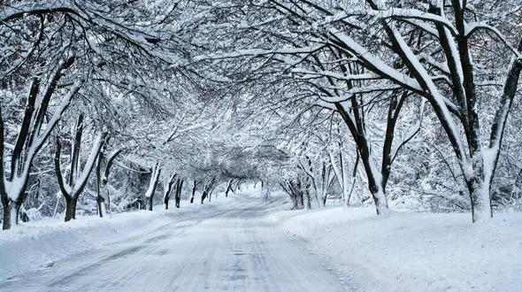 برف روی ارتفاعات ۱۰ استان کشور می‌نشیند