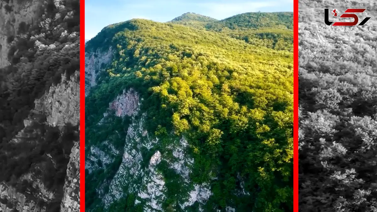 فیلم چشم انداز زیبای طبیعت ژیوار