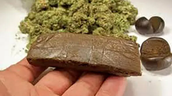 «تریاک» و «گل» دو مخدر پرمصرف کشور / اشتباهات مصرف‌کنندگان گل