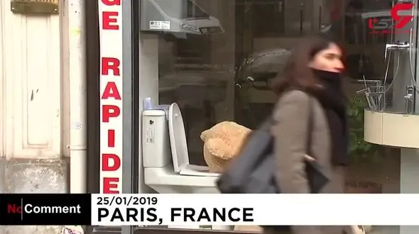 خرس‌های عروسکی در پاریس برای تغییر روحیه شهروندان+فیلم