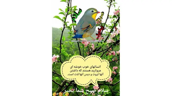 فال ابجد محشر 8 آذر + فیلم