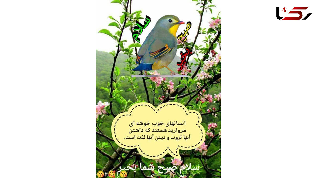 فال ابجد محشر 8 آذر + فیلم