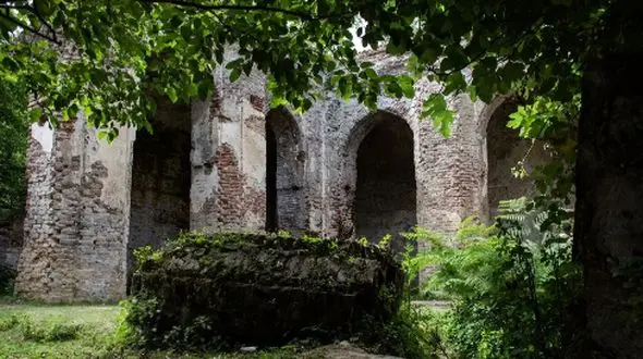 سفر به دل جنگل‌ های تالش با قصه‌ تصویری