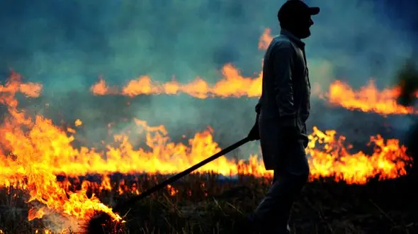 مرگ خاک کشاورزی، ارمغان یک تصمیم اشتباه!