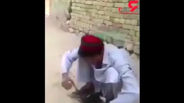 کودکی که با اشک‌هایش نگذاشت سر یک خروس بریده شود + فیلم