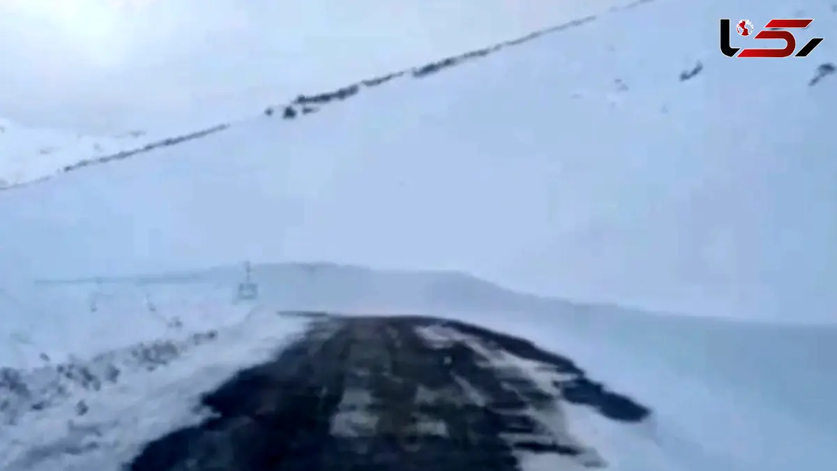 فیلم تصاویر خیره کننده از برف در گله بادوش