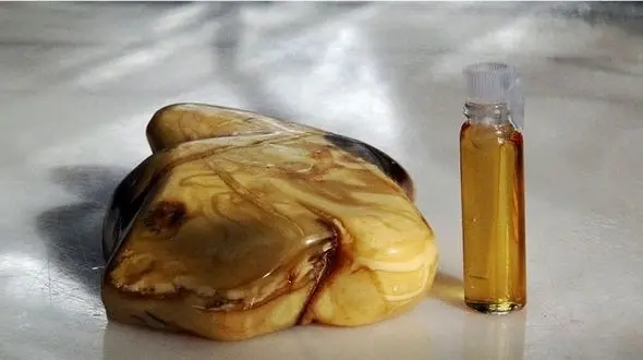 تصویر گران‌ترین و قیمتی‌ترین استفراغ جهان