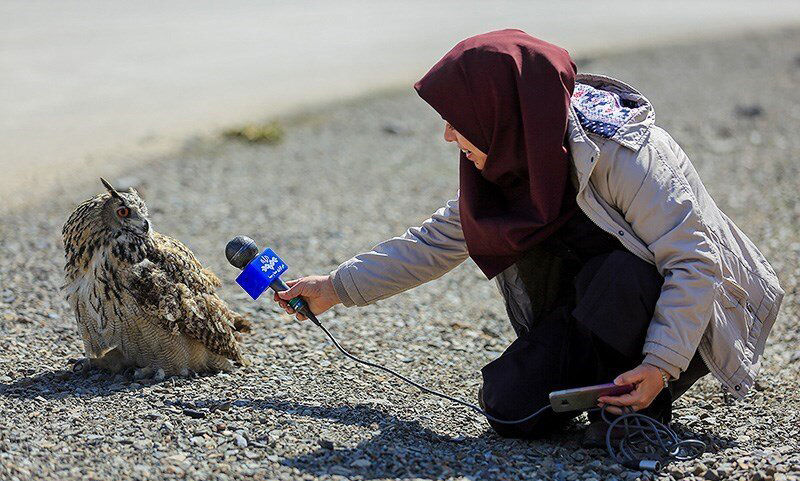 خبرنگار