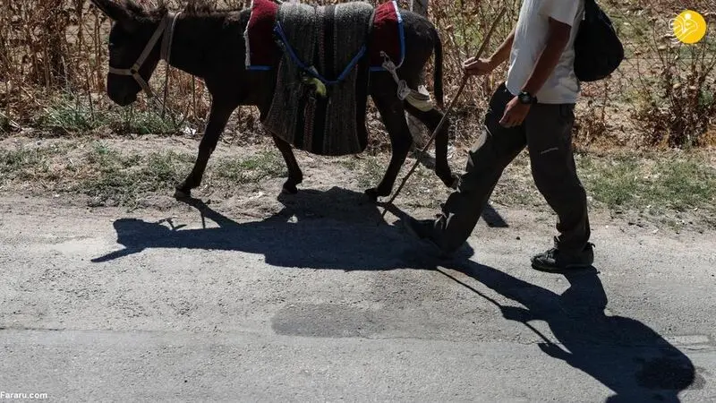 کوتارو گردشگر ژاپنی 