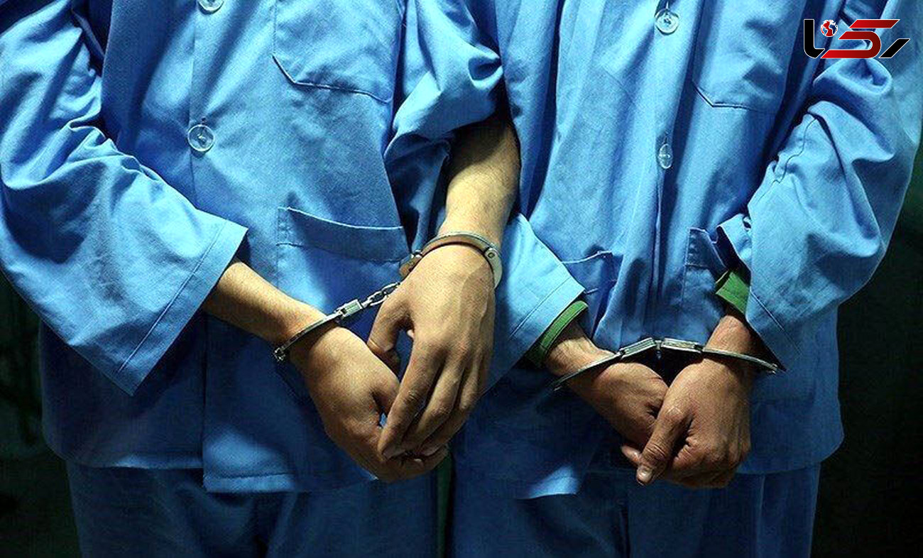دستگیری 85 سارق در زنجان در یک ماه اخیر