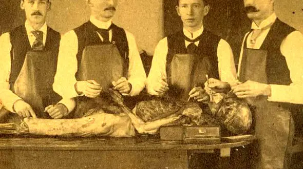 نتیجه کالبد شکافی اشخاص معروف / علت مرگ مایکل جکسون چه بود ! + عکس های دیده نشده