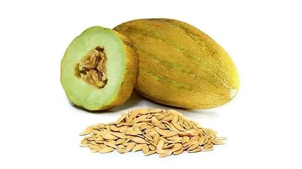 این دانه ها رو دور نریز! ارزش طلایی برای بدن + فیلم