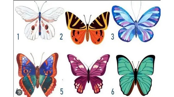 تست شخصیت شناسی / یک پروانه انتخاب کن تا بفهمی دیگران کدام اخلاق تان را تحسین می کنند