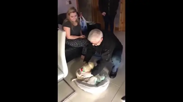 هدیه کریسمس به پیرمرد عاشق پس از مرگ همسرش+فیلم