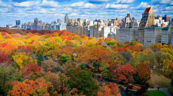 نیویورک دیدنی در فصل پاییز + فیلم