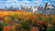 نیویورک دیدنی در فصل پاییز + فیلم