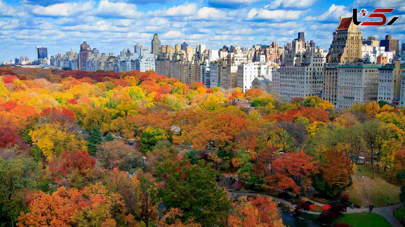 نیویورک دیدنی در فصل پاییز + فیلم