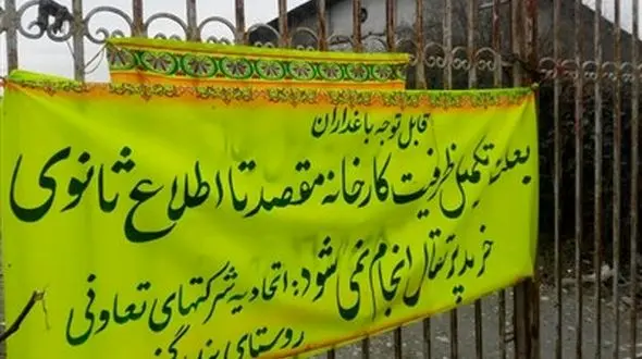 خرید پرتقال‌های یخ‌زده باغداران گلستانی متوقف شد