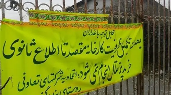 خرید پرتقال‌های یخ‌زده باغداران گلستانی متوقف شد