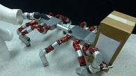 ساخت یک ربات همه فن حریف