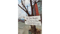 پیام مهم و عبرت انگیز یک درخت به شهروندان!+عکس