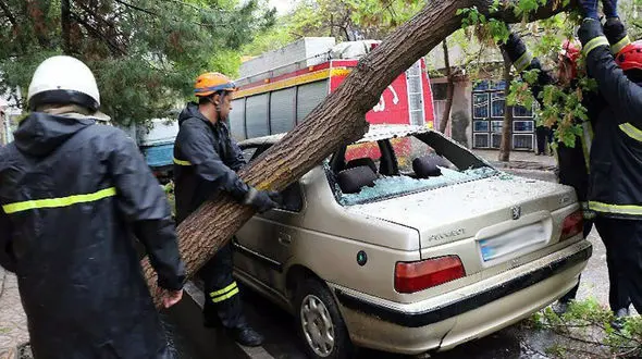 ببینید /  سقوط درخت روی خودرو در مشهد + فیلم
