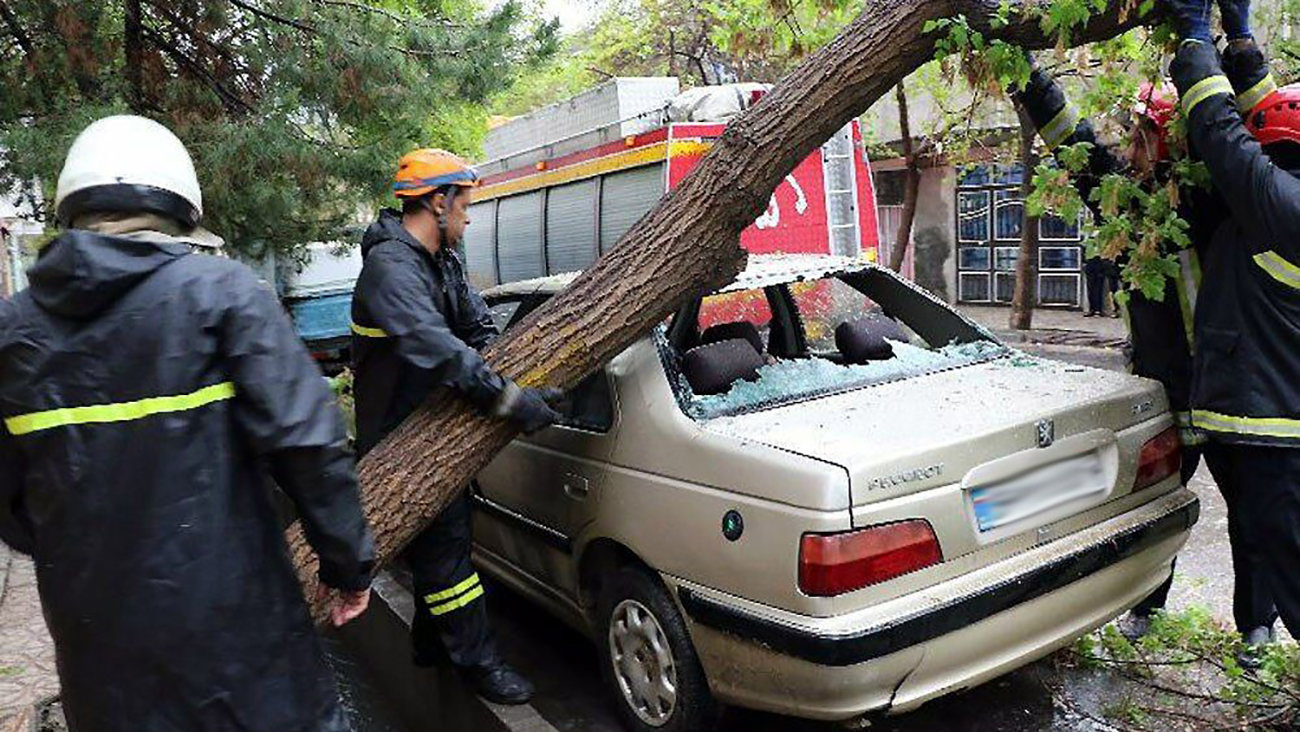 ببینید /  سقوط درخت روی خودرو در مشهد + فیلم