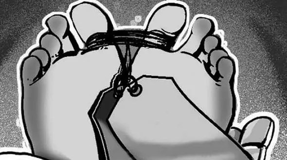 راز ارثیه خونین ! / عمه باید کشته می شد !