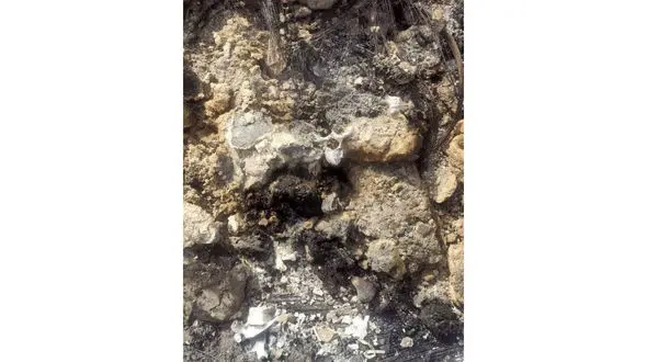 قتل و پنهان‌سازی جسد سوخته دختر 29 ساله در مشهد / پدر متهم به ارتکاب جنایت شد