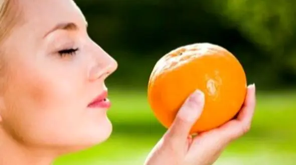 کشف عجیب: نقش بینی در درک مزه‌ ها توسط مغز