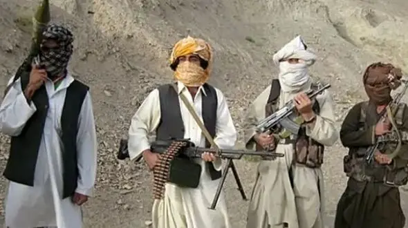 قتل عام 8 پاکستانی با دست و پای بسته داخل خاک ایران + عکس ها و واکنش های دو کشور