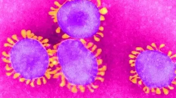 ارتباط ابتلا به کرونا در بارداری با خطر اوتیسم در کودکان
