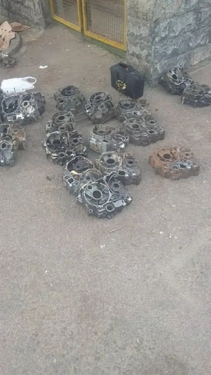 باند وزغ (5)