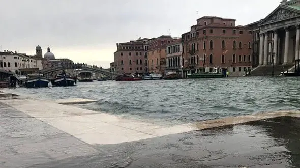 کرونا حیوانات رانده شده از ونیز را به این شهر برگرداند+ فیلم