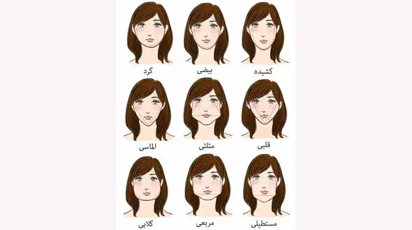  فرم صورت افراد شخصیت را می سازد / با این تست خودتان را بشناسید + عکس 