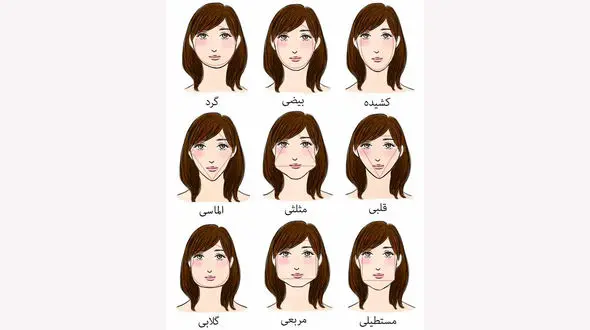  فرم صورت افراد شخصیت را می سازد / با این تست خودتان را بشناسید + عکس 