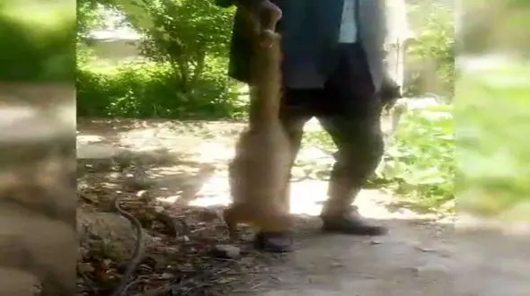 دستگیری شکارچیان بی رحم در خفر + عکس