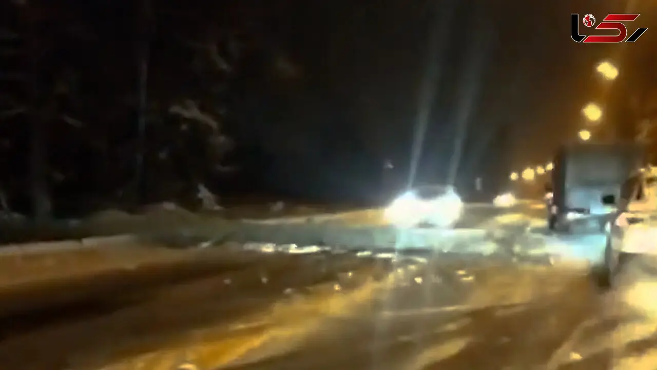 فیلم / تصادف با درخت افتاده در جاده 