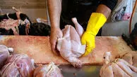 قیمت مرغ، تخم مرغ و گوشت اعلام شد