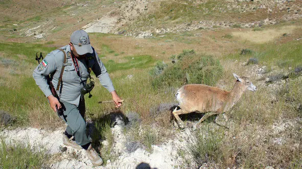 شکارچی بی رحم صورت محیط بان جوان را سوزاند + عکس دلخراش