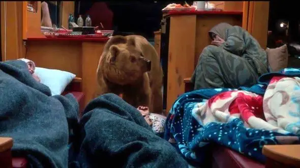 «مشگا» بازیگر جنجالی سریال پایتخت را بیشتر بشناسید+ عکس